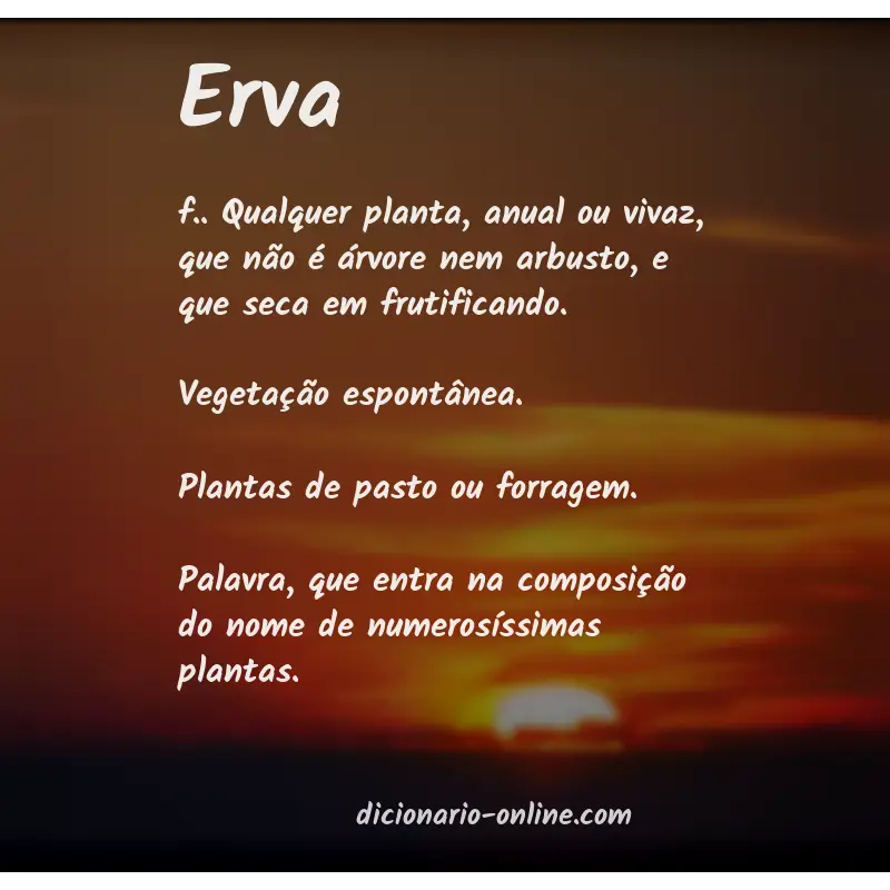 Significado de erva