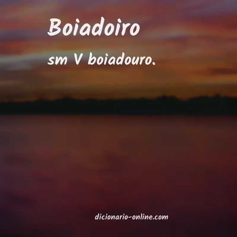 Significado de boiadoiro