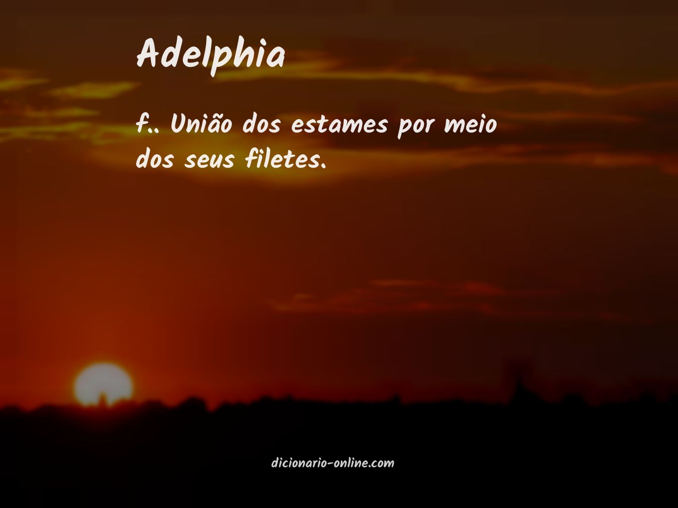 Significado de adelphia