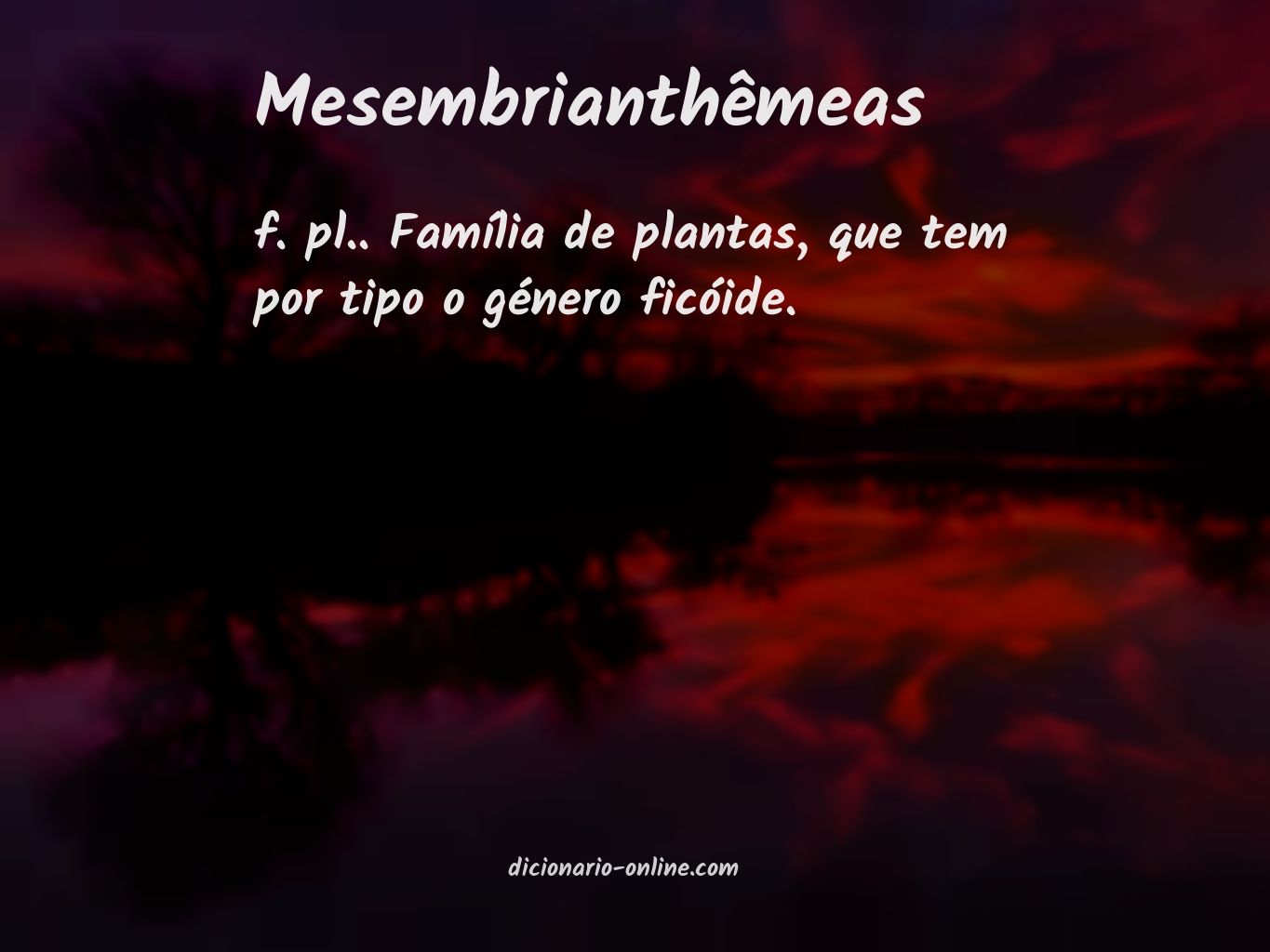 Significado de mesembrianthêmeas