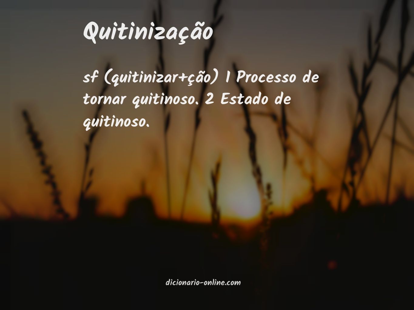 Significado de quitinização