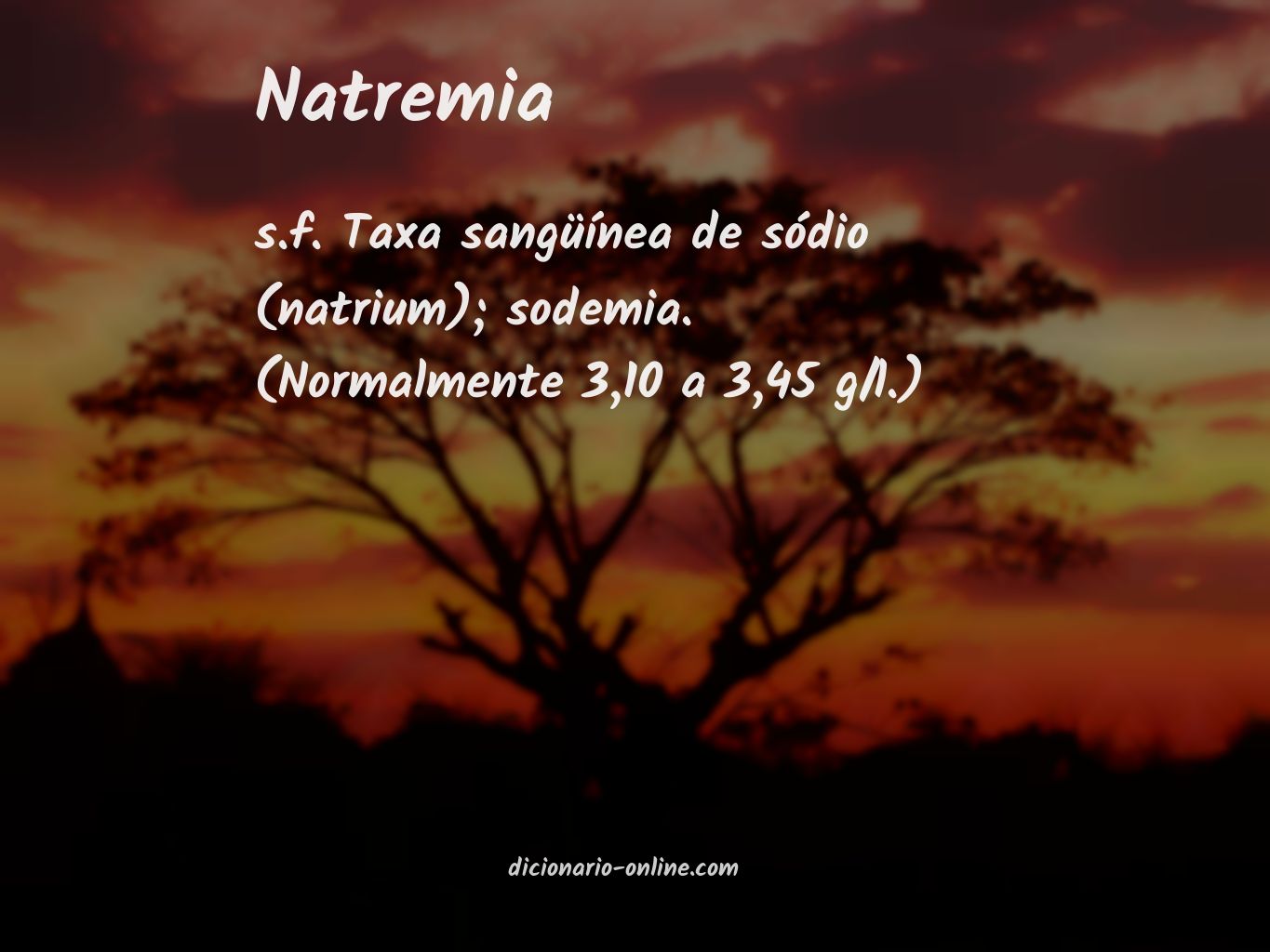 Significado de natremia