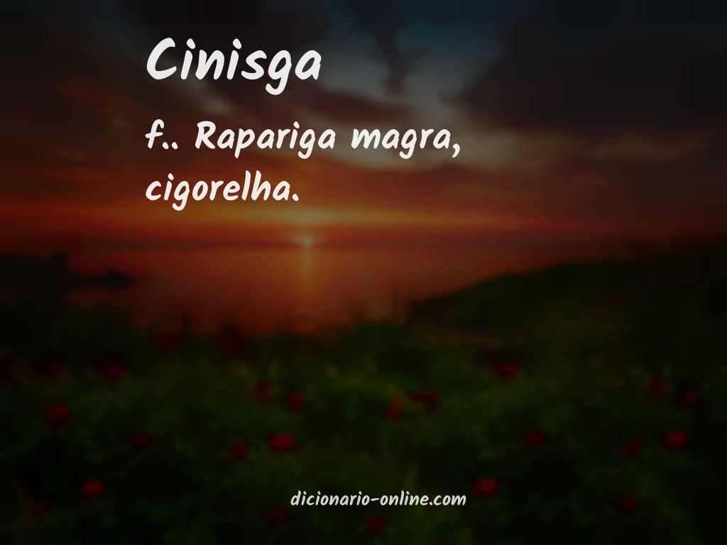 Significado de cinisga