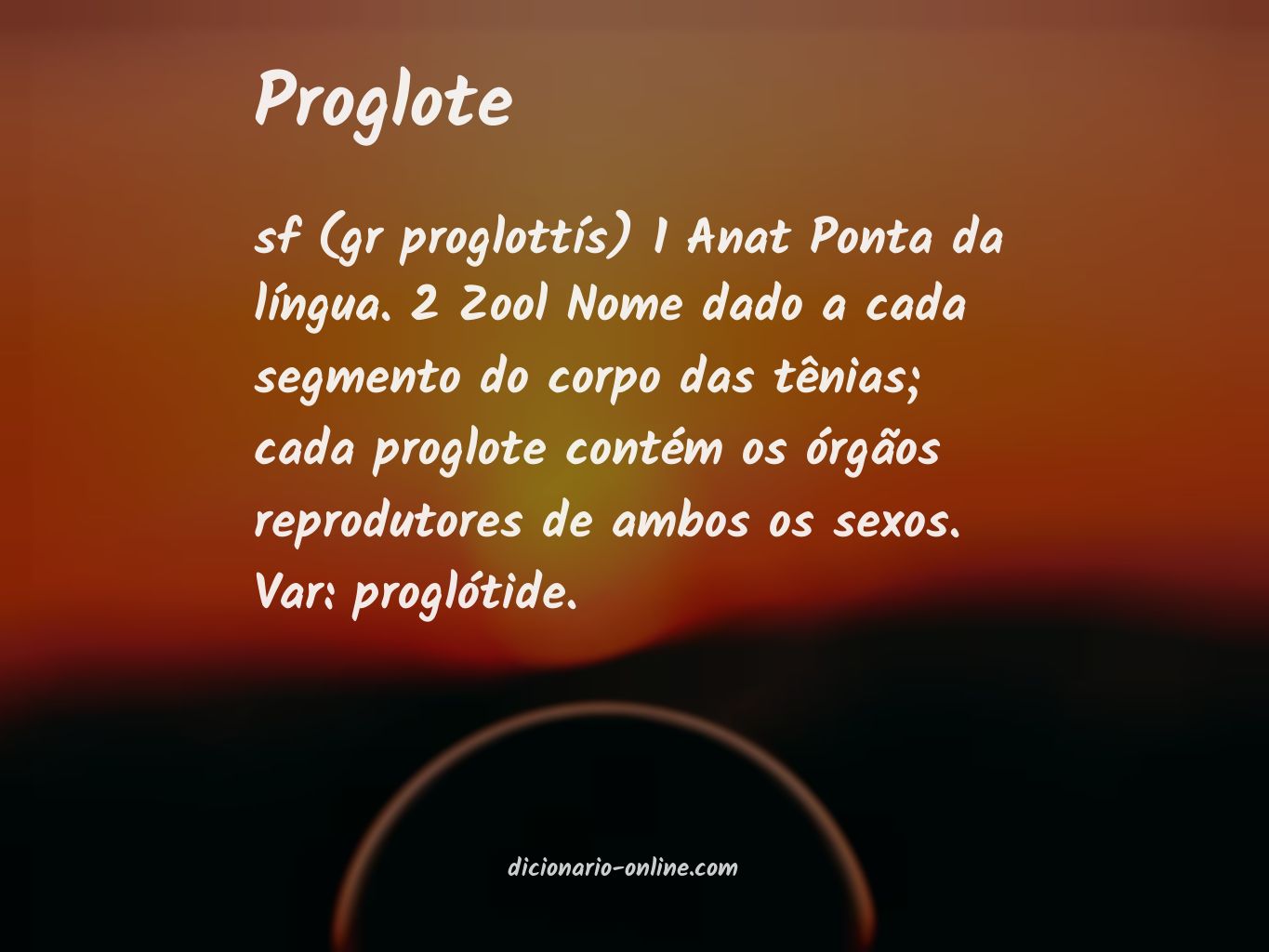 Significado de proglote