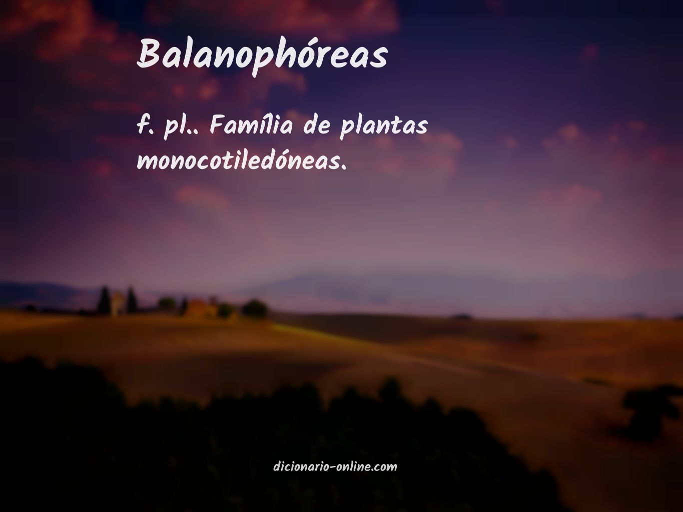 Significado de balanophóreas