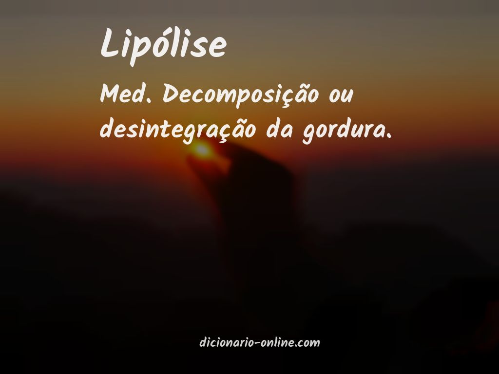 Significado de lipólise