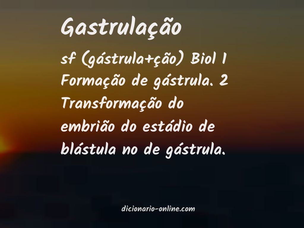 Significado de gastrulação