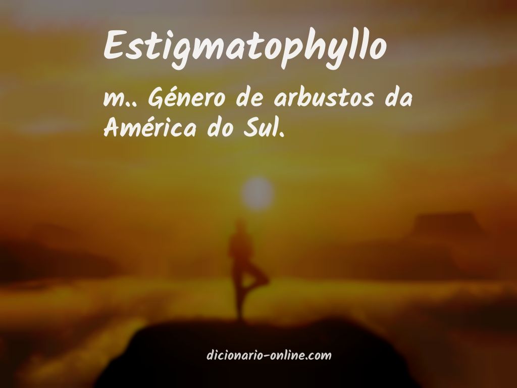 Significado de estigmatophyllo