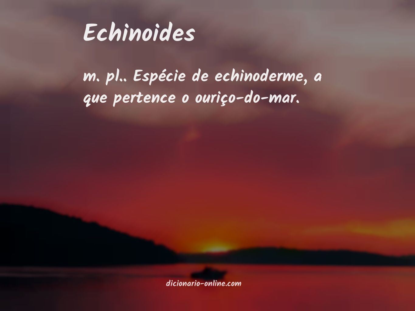 Significado de echinoides