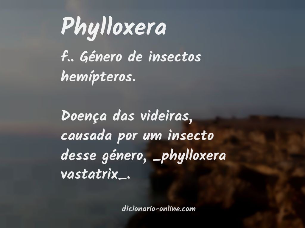 Significado de phylloxera