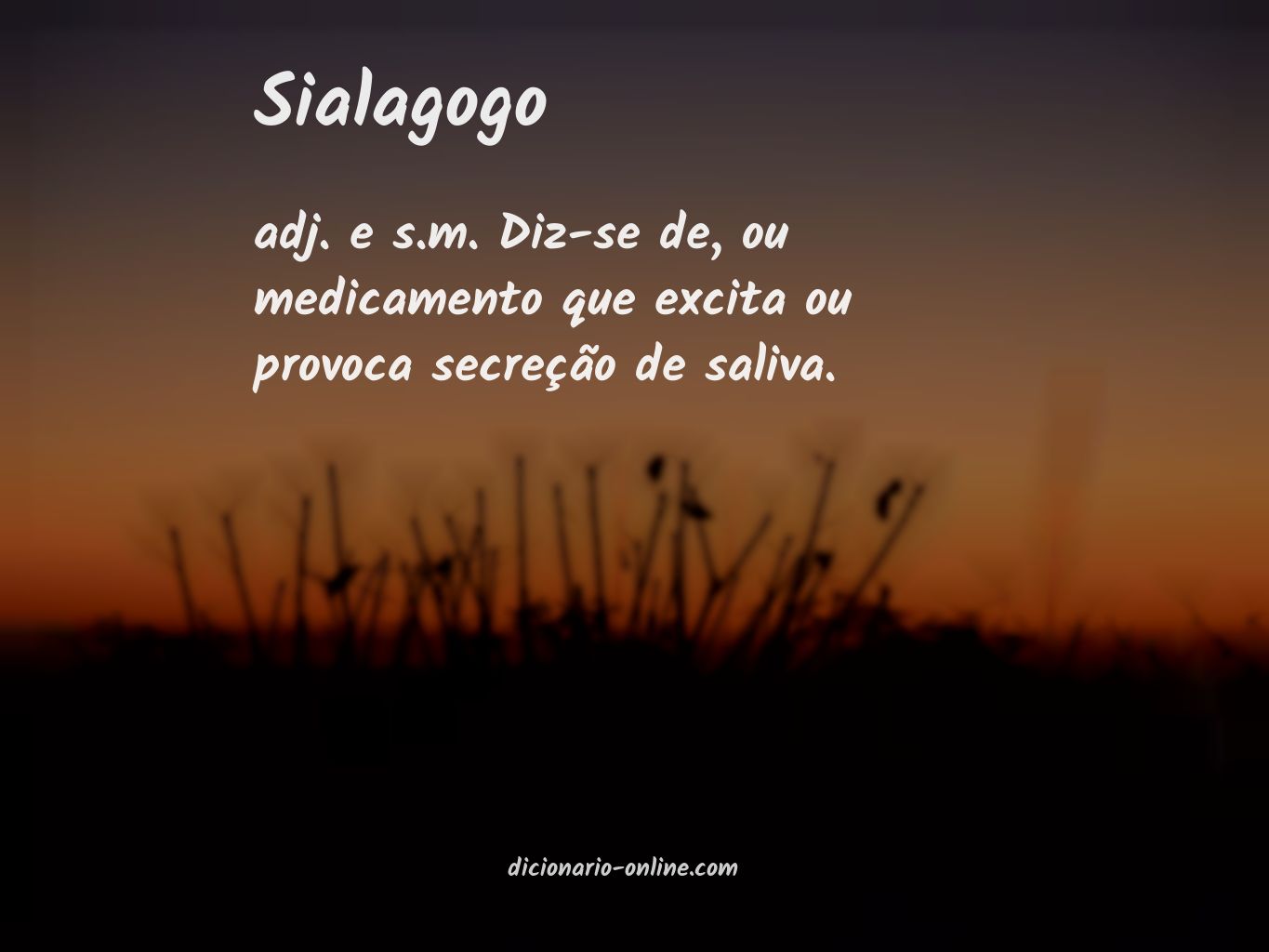 Significado de sialagogo