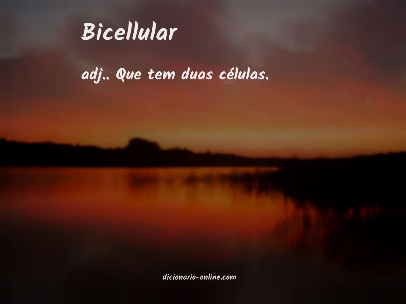 Significado de bicellular