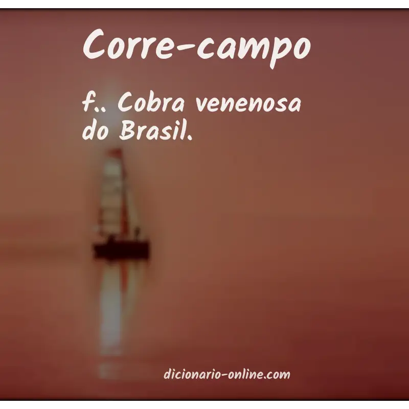Significado de corre-campo