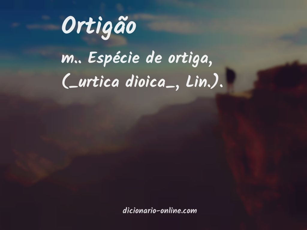 Significado de ortigão