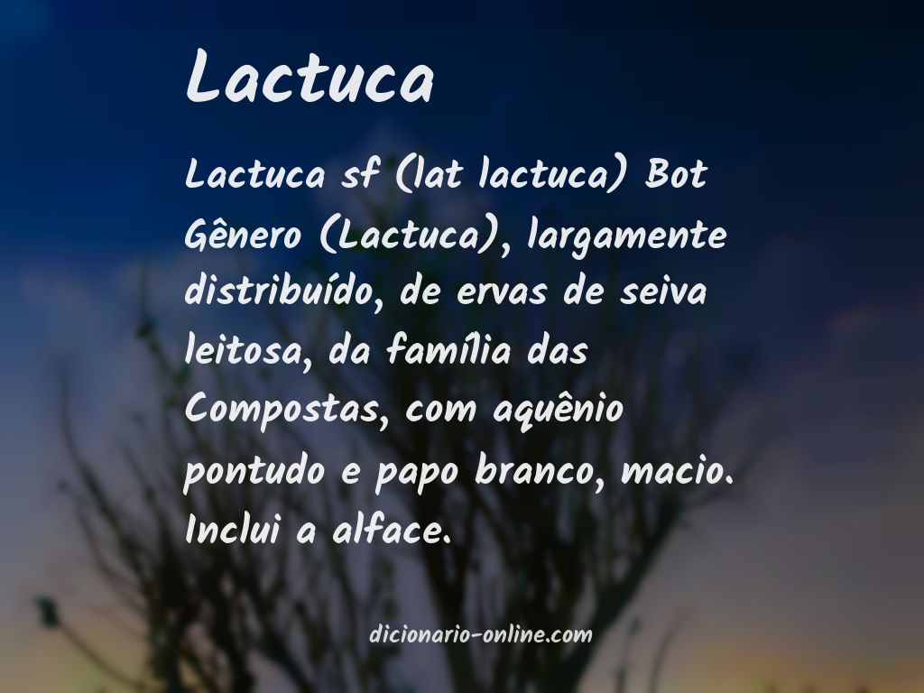 Significado de lactuca