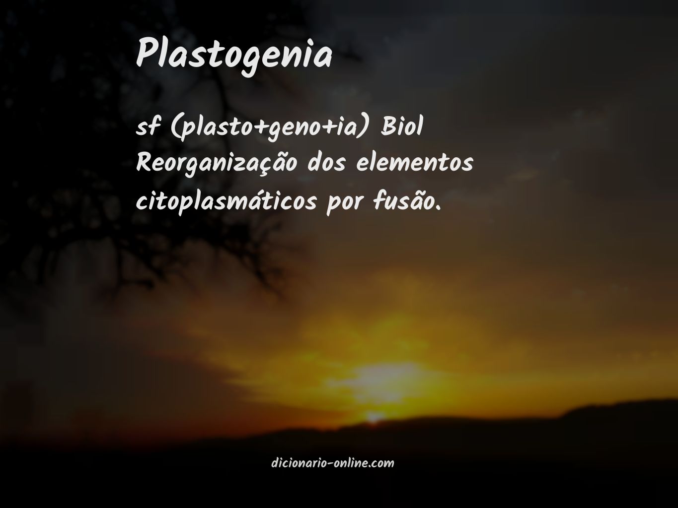 Significado de plastogenia