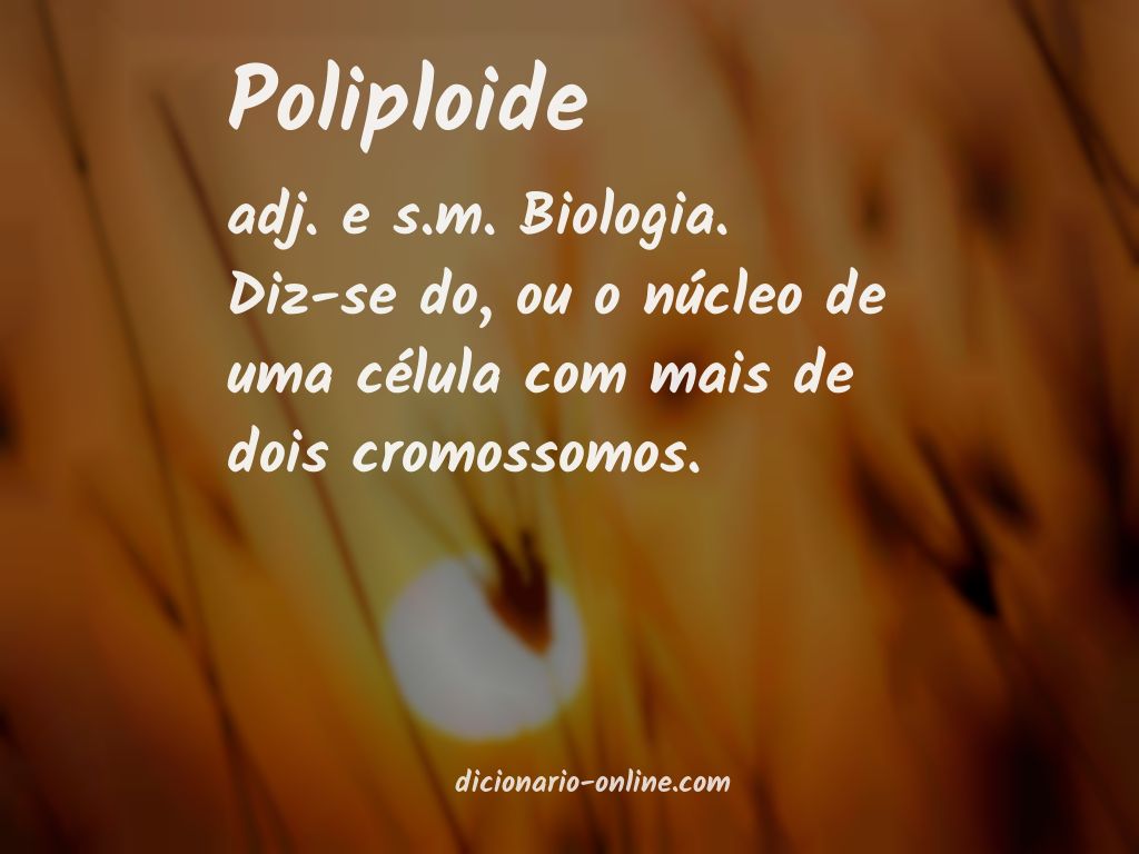 Significado de poliploide