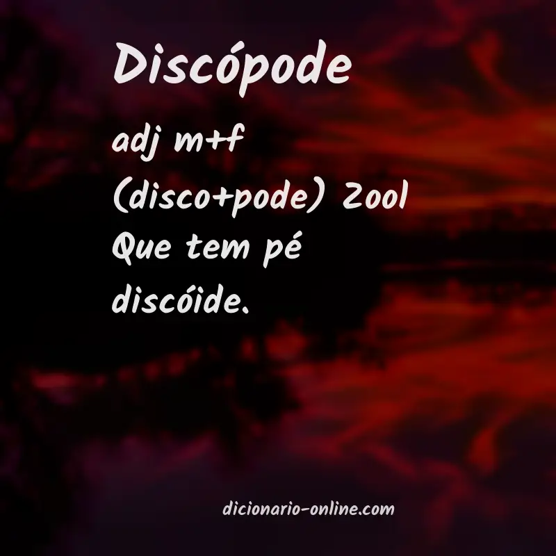 Significado de discópode