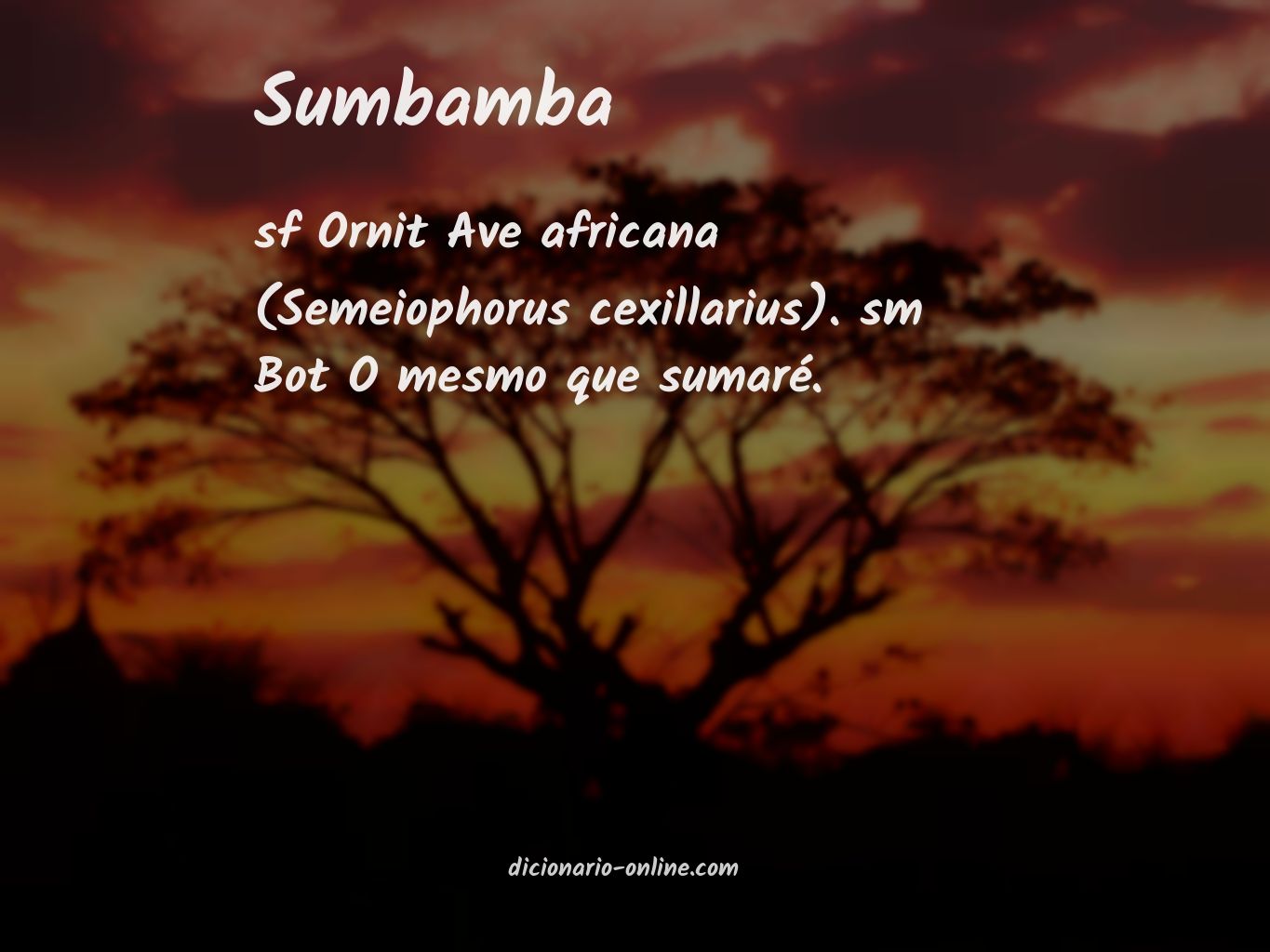 Significado de sumbamba