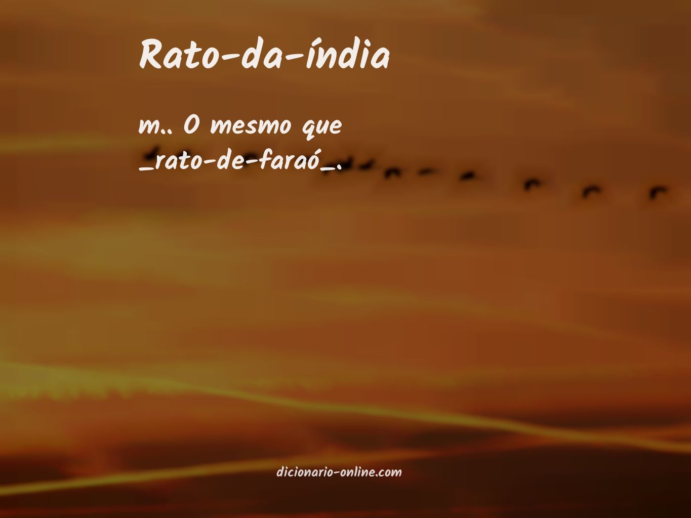 Significado de rato-da-índia