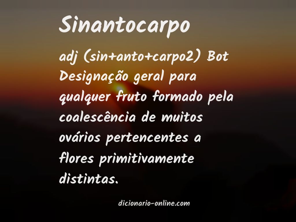 Significado de sinantocarpo