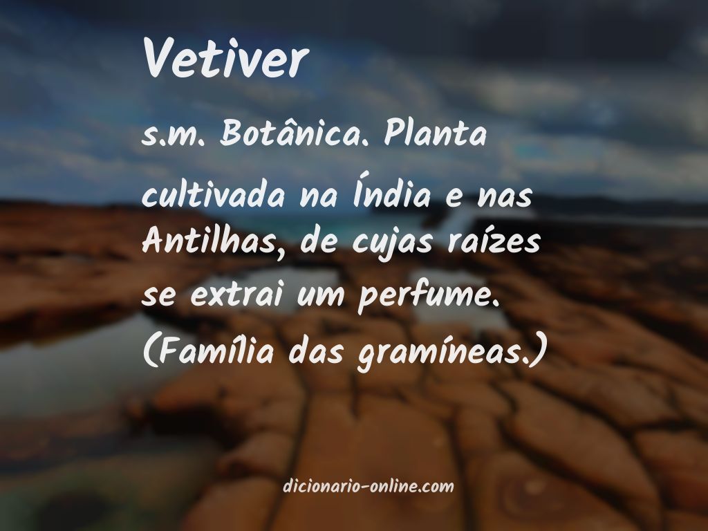 Significado de vetiver