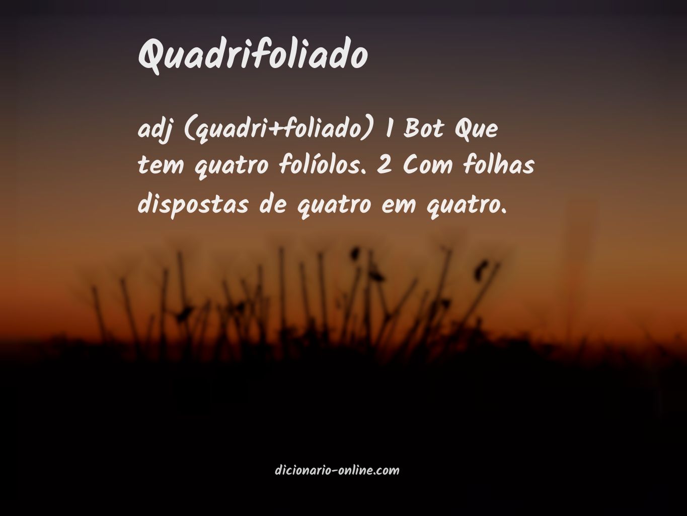 Significado de quadrifoliado