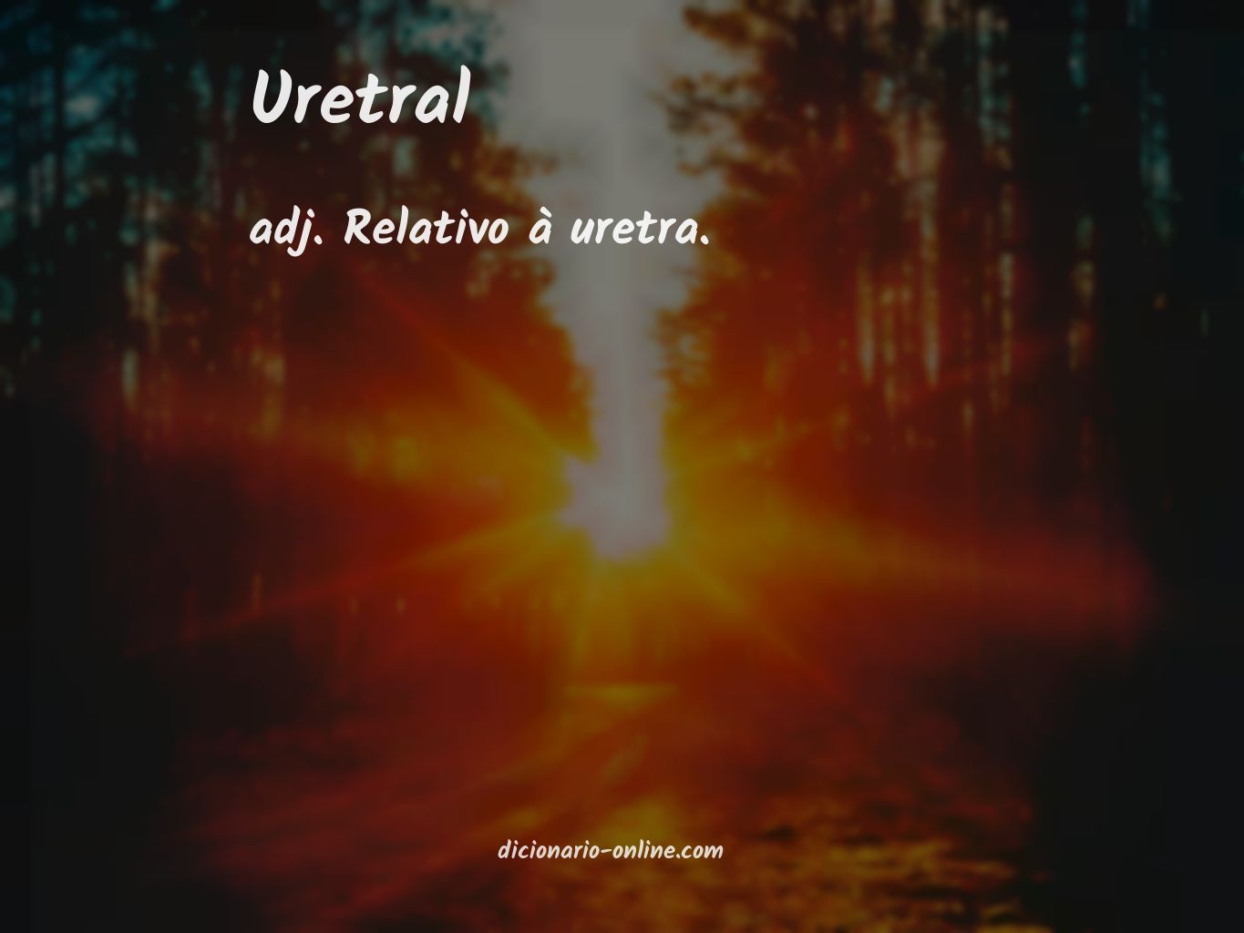 Significado de uretral