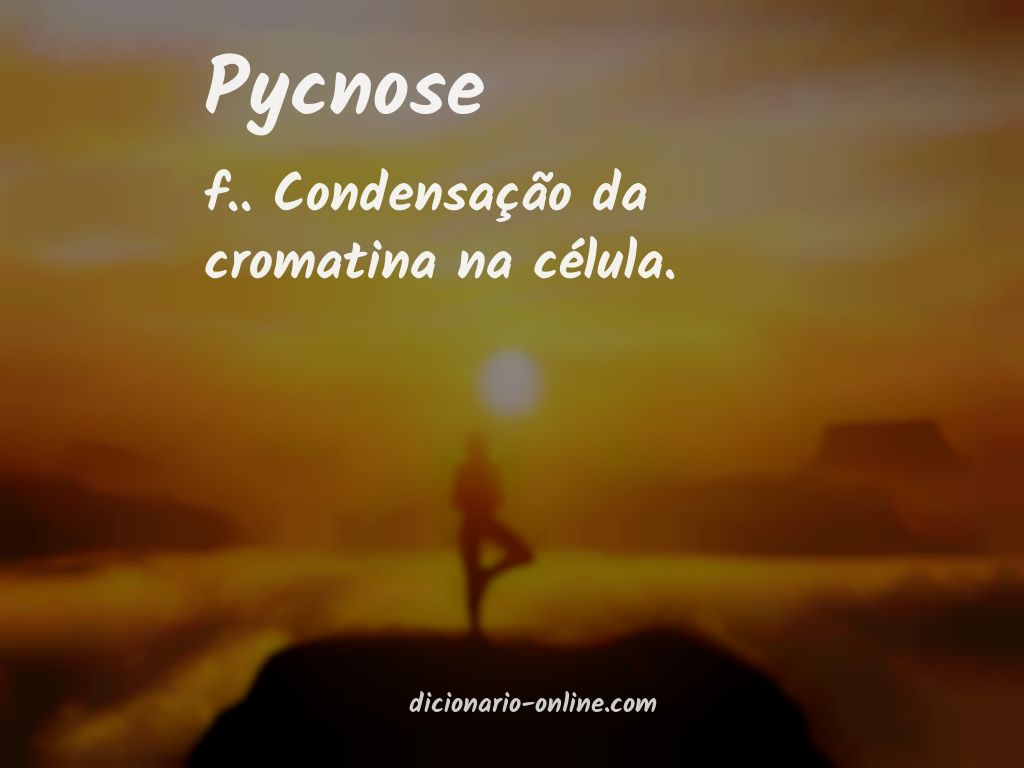 Significado de pycnose