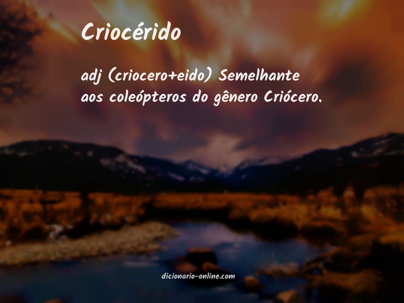 Significado de criocérido