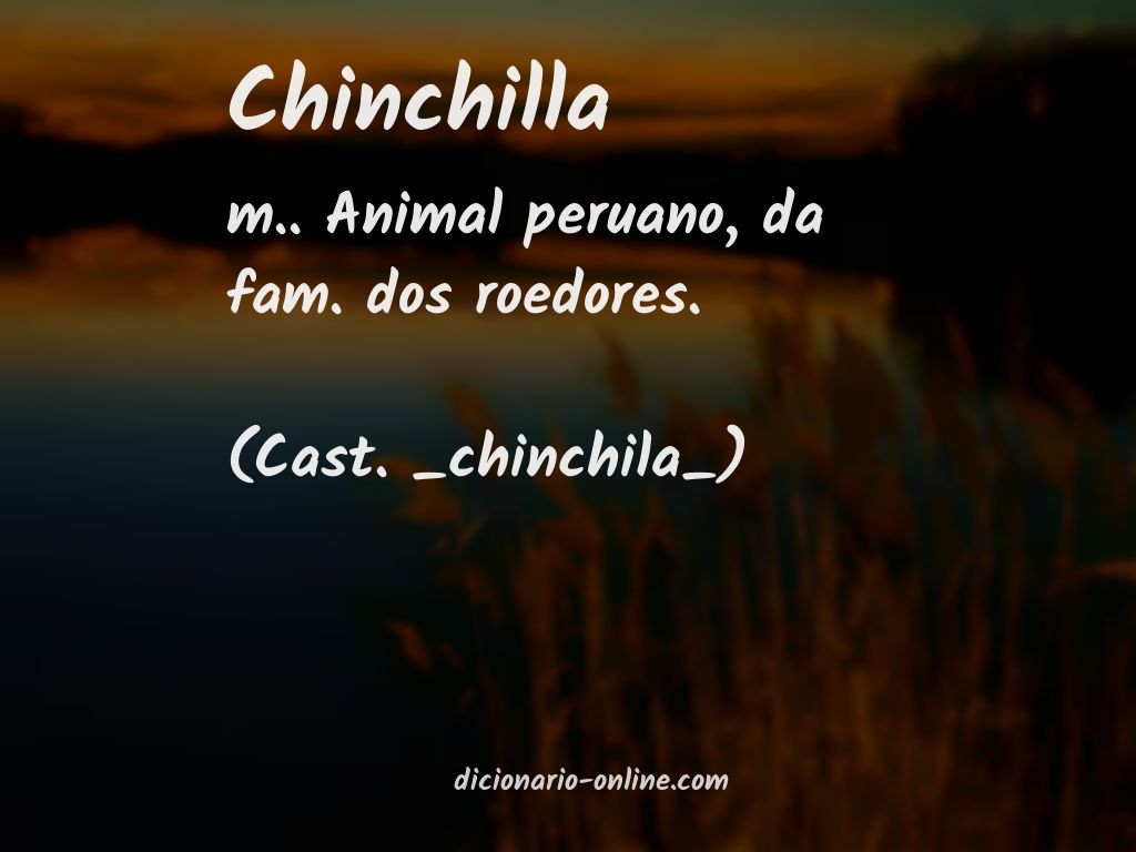 Significado de chinchilla