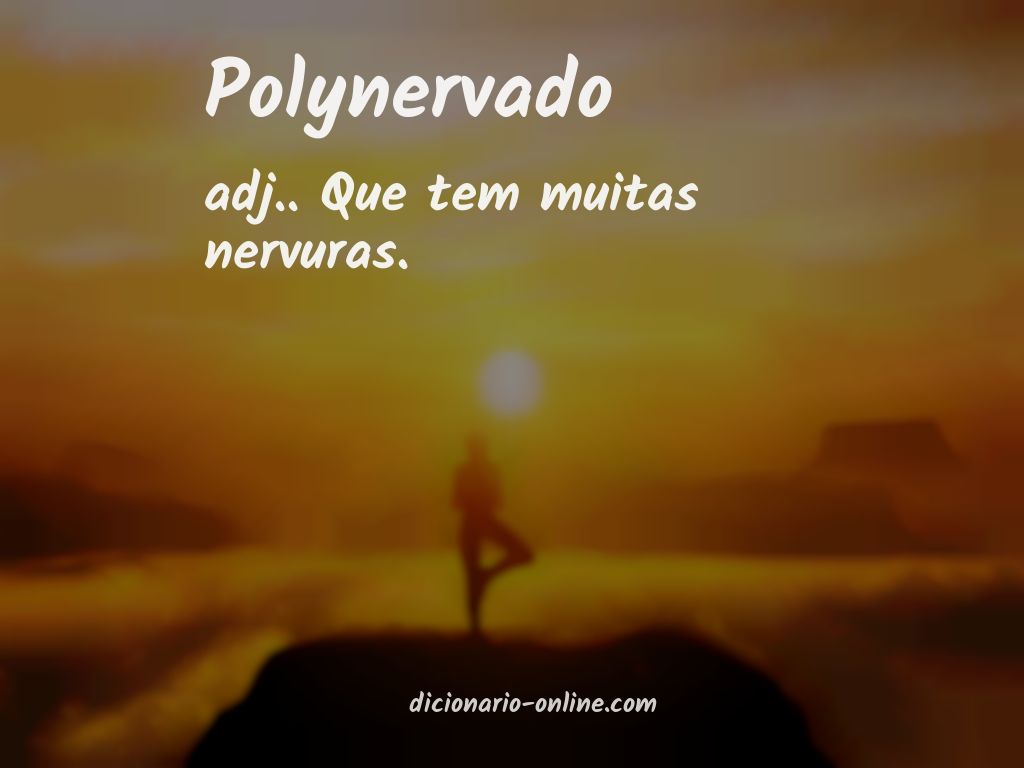 Significado de polynervado