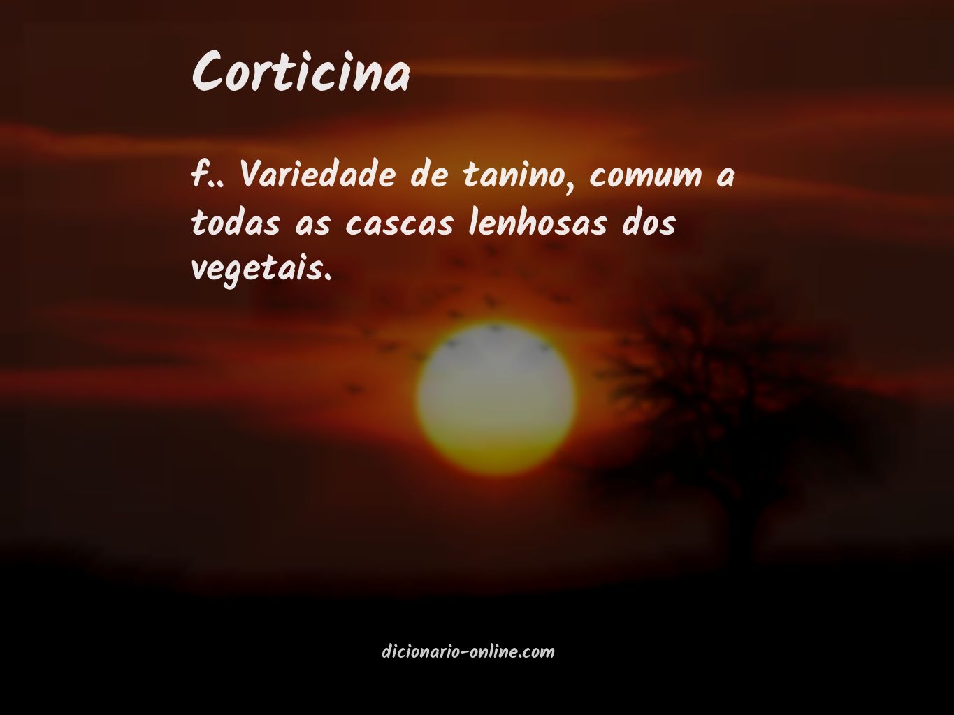 Significado de corticina