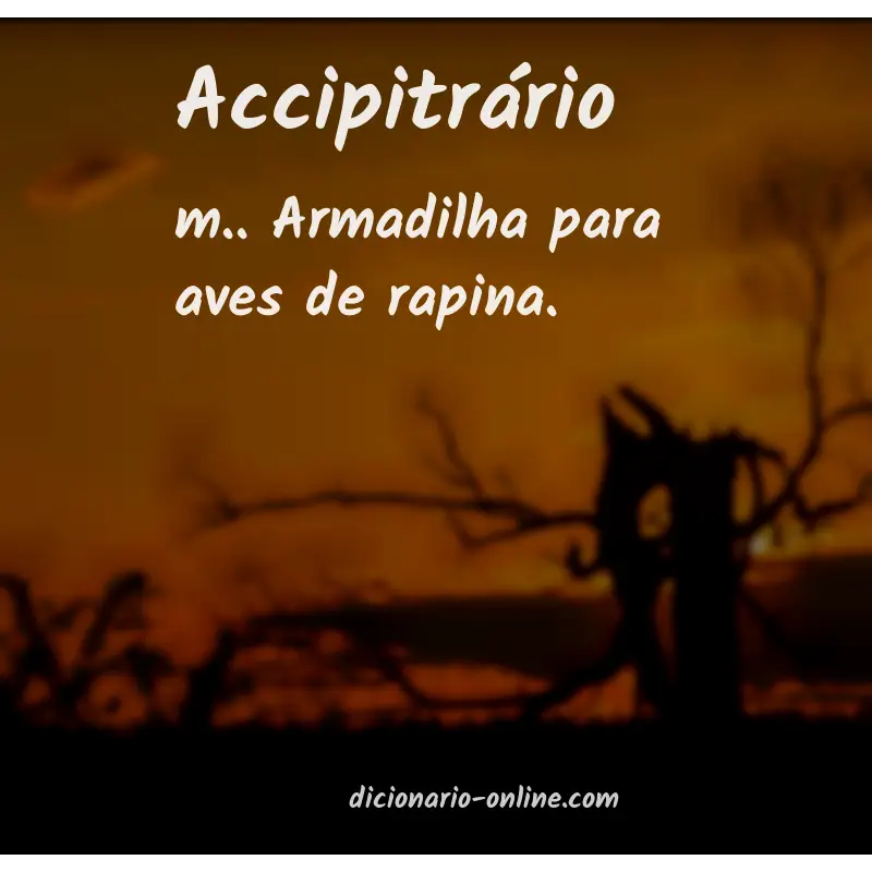 Significado de accipitrário