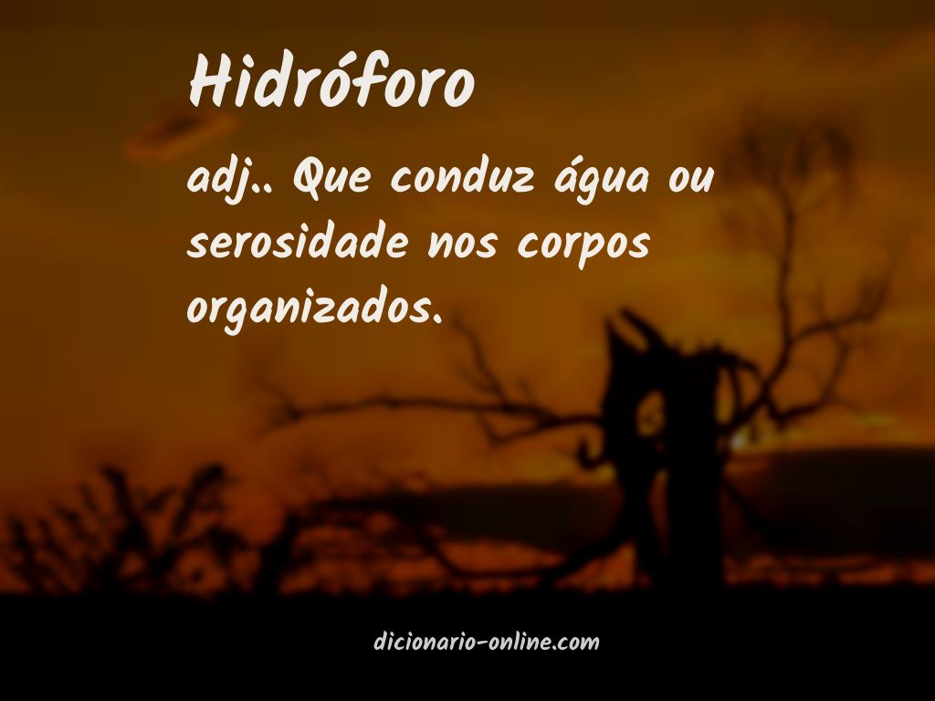 Significado de hidróforo