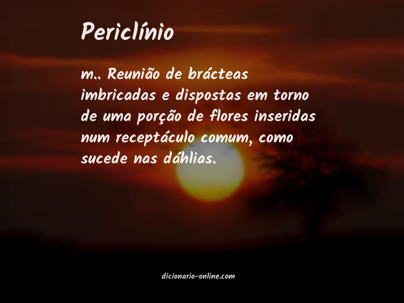 Significado de periclínio