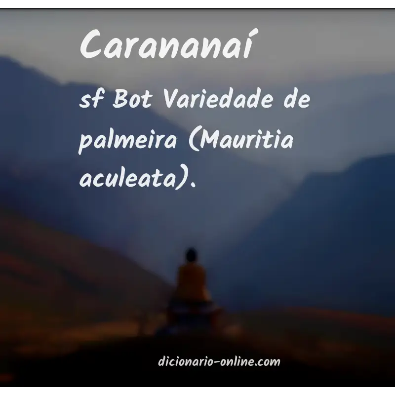 Significado de carananaí
