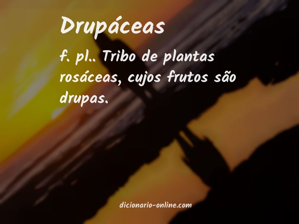 Significado de drupáceas