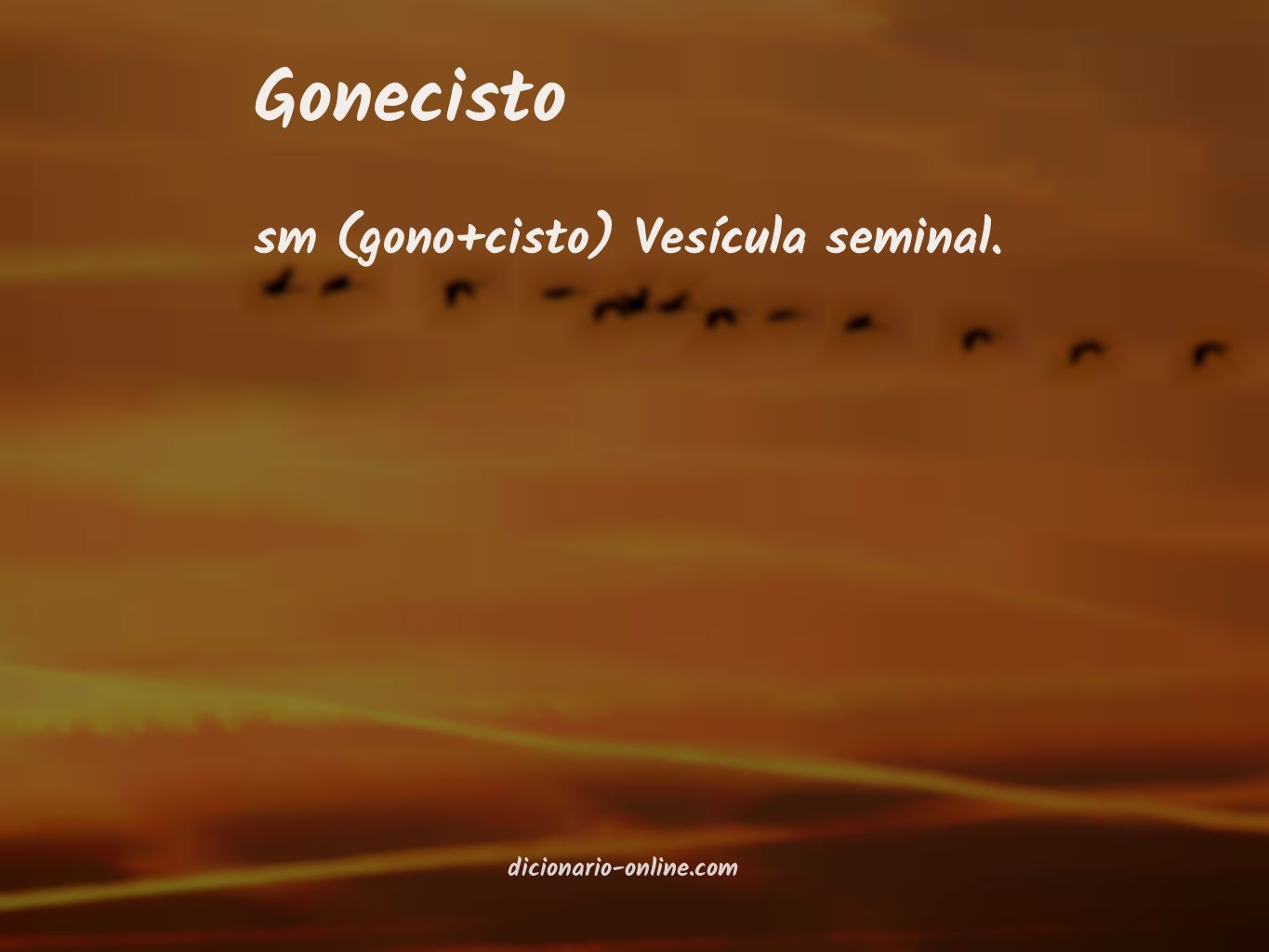 Significado de gonecisto