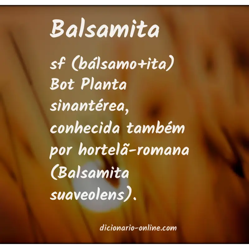 Significado de balsamita