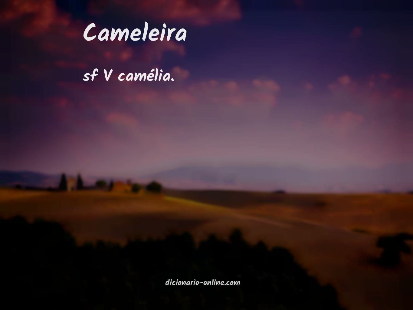 Significado de cameleira