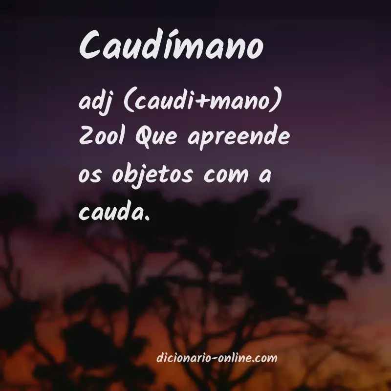 Significado de caudímano