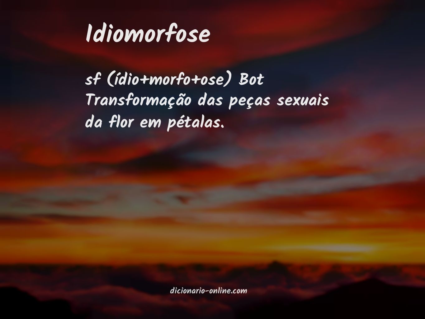 Significado de idiomorfose