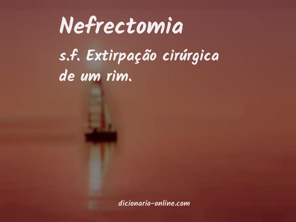 Significado de nefrectomia