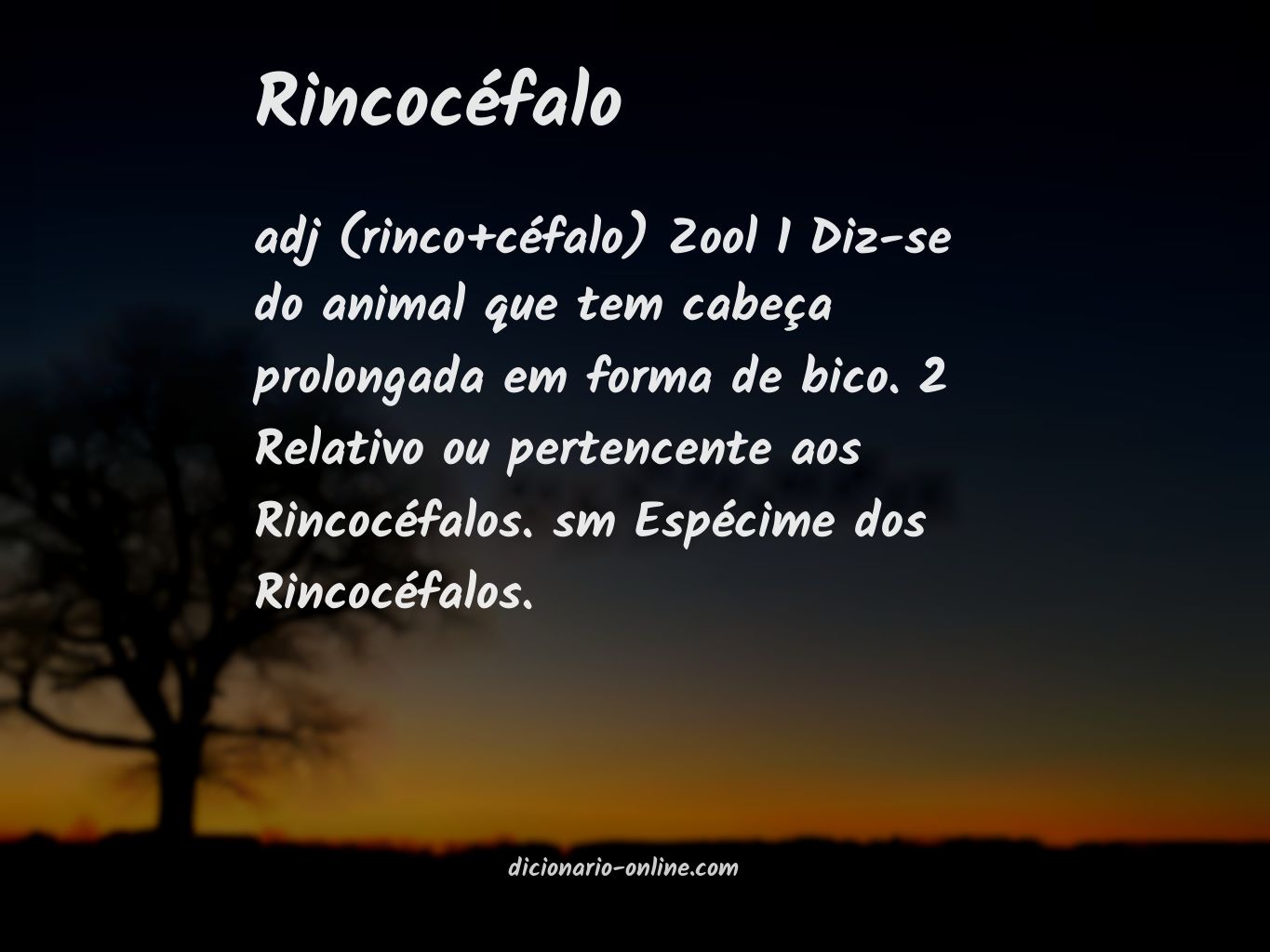 Significado de rincocéfalo