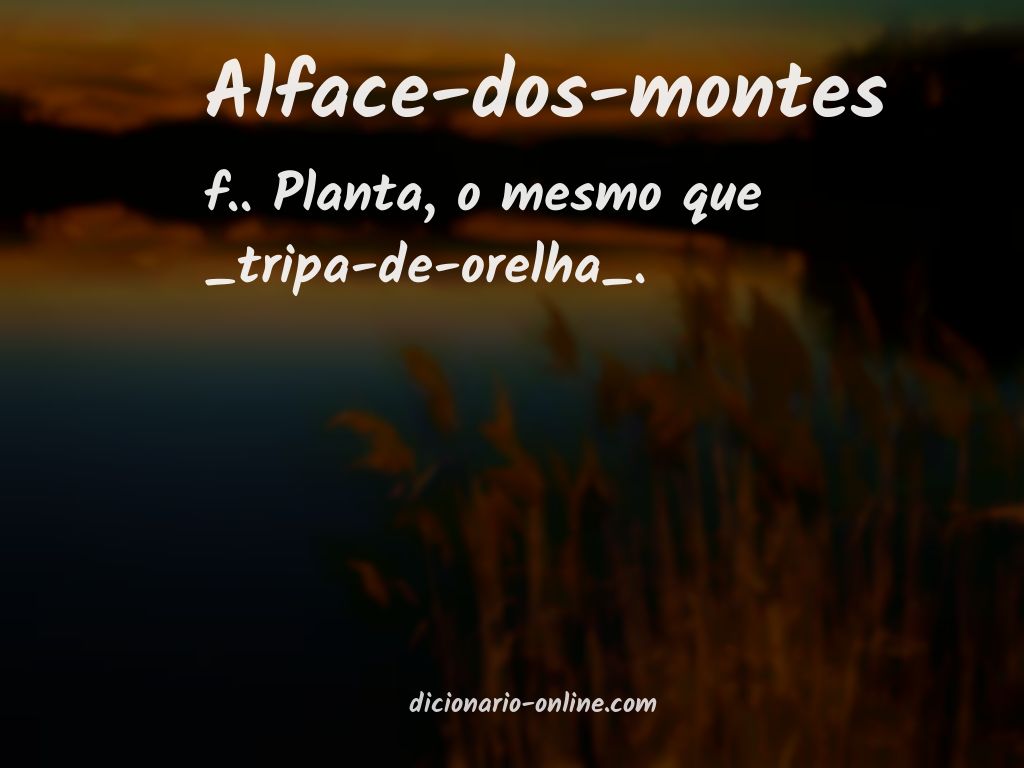 Significado de alface-dos-montes