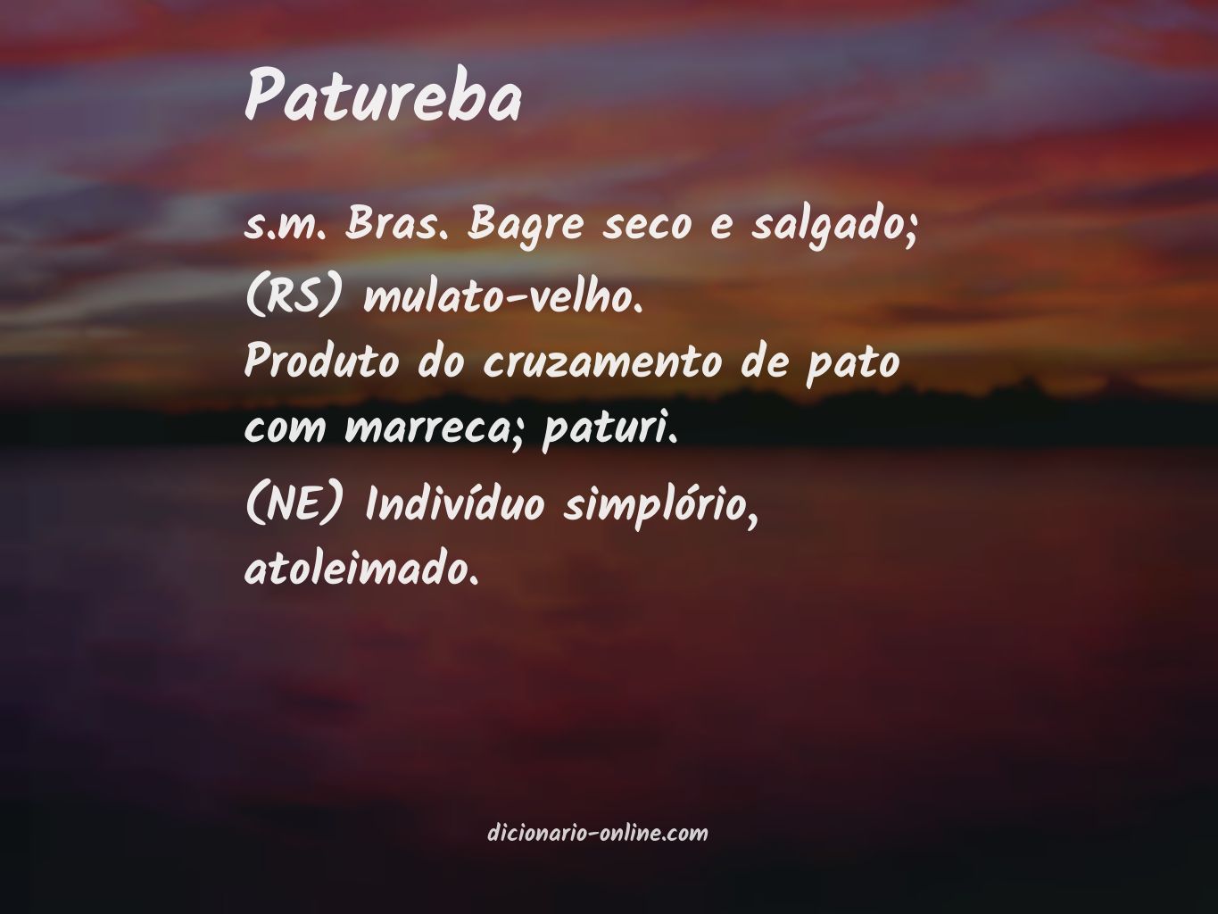 Significado de patureba