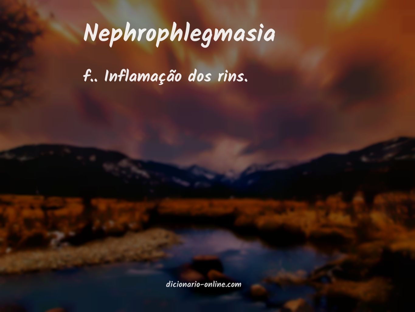 Significado de nephrophlegmasia