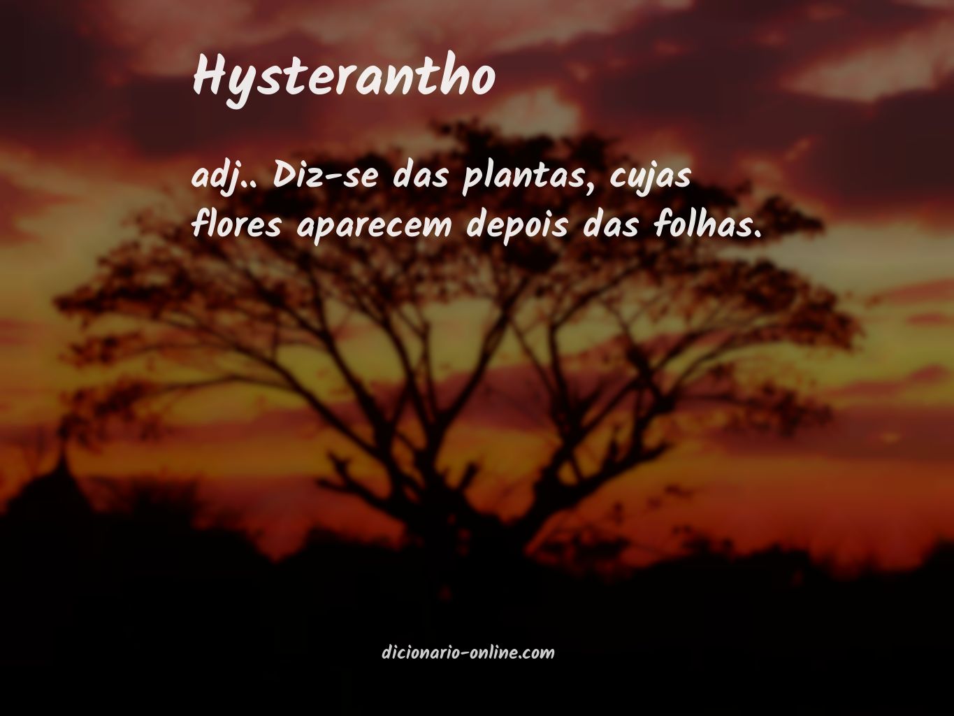 Significado de hysterantho