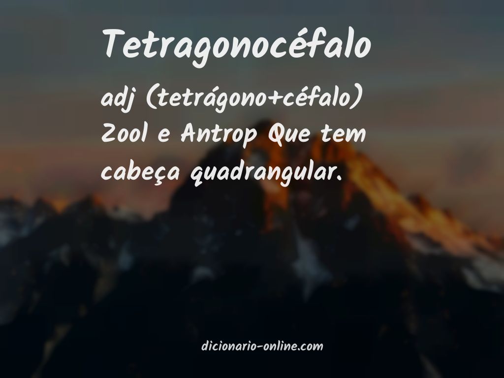 Significado de tetragonocéfalo